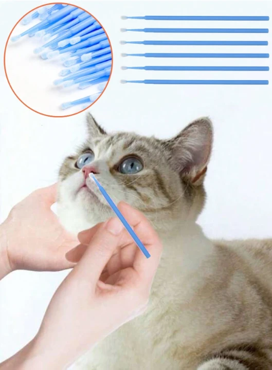 المنتج